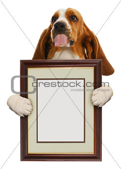 dog holding picture frame