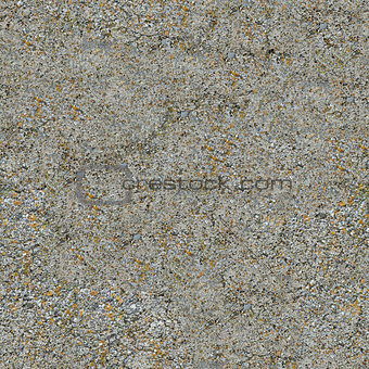 Seamless Texture of Weathered Concrete Surface.
