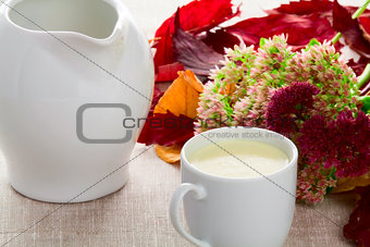 A cup of milk and milk jug