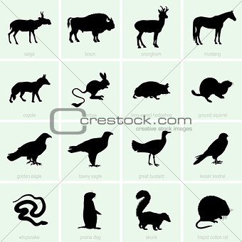 Steppe Animal icons