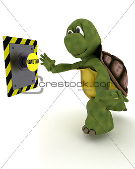 Tortoise pushing a button