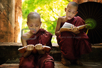  Myanmar little monk reading book outside monastery