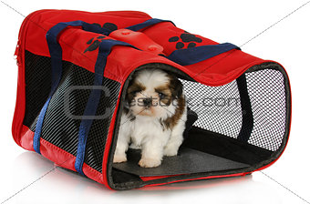 puppy carrier
