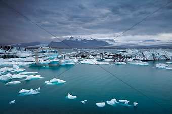 Floating icebergs.