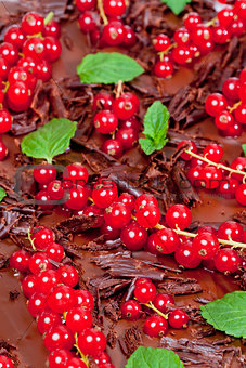 red currant and mint with chocolate