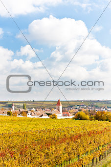 autumnal vineyards in Retz region, Lower Austria, Austria