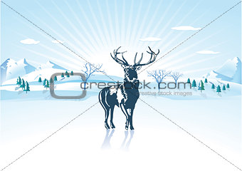 deer to winter