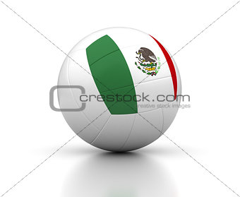 Mexican Volleyball Team