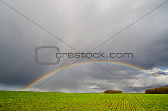 natural rainbow over green field
