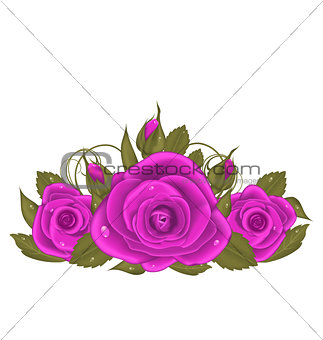 Bouquet beautiful roses isolated on white background