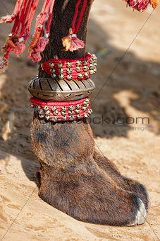 Decorated camel foot 