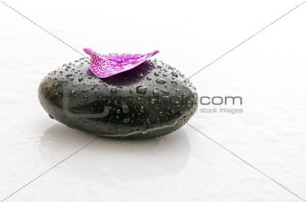 Petal with water drops on a spa stone