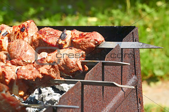 Preparation of shish kebab