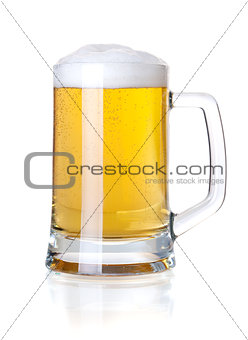 Cold lager beer