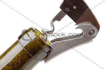 Corkscrew in a wine bottle