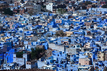 cityscape blue houses of jodhpur in india rajasthan