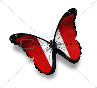Peruvian flag butterfly, isolated on white