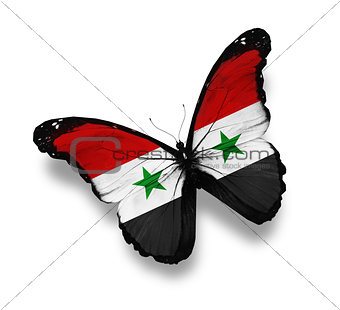Syrian flag butterfly, isolated on white