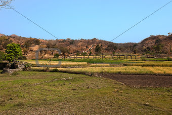 countryside in rajasthan