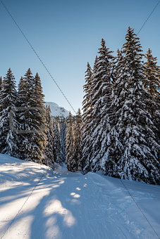Sunny Ski Slope near Megeve in French Alps, France