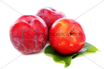 Three red plums.