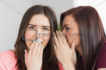 Two pretty girls sharing secrets