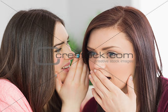 Two happy girls sharing secrets
