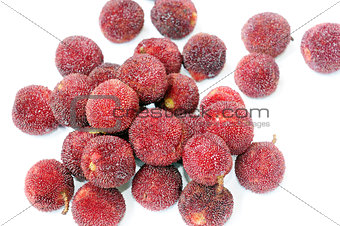 Red bayberry fruits