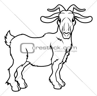 Stylised goat illustration