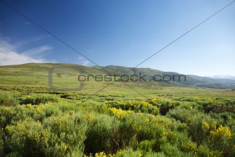 meadows in Gredos natural park