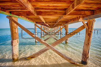 Underside of a wooden jetty in tropical sea