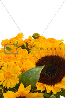 marigold and sunflowers