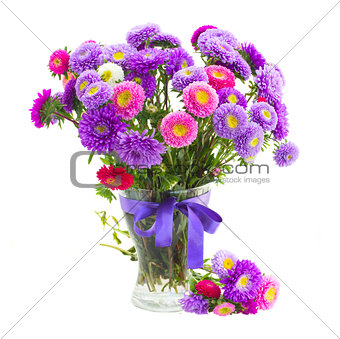 bouquet of violet and pink  aster flowers