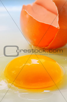 Broken egg isolated 