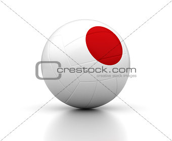 Japanese Volleyball Team