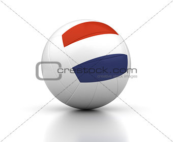 Dutch Volleyball Team