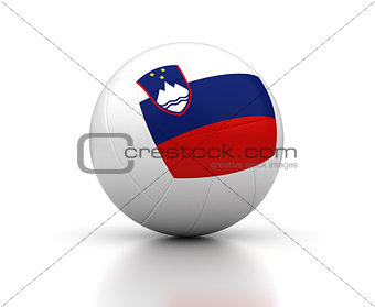 Slovenian Volleyball Team