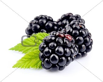 Blackberry fruit with leafs