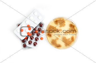 Penicillum fungi on agar plate and pills