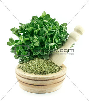 Mortar with fresh thyme herb