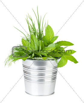 Fresh herbs in metal bucket