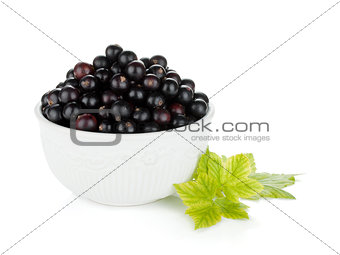 Black currant bowl