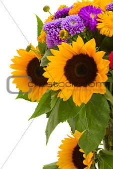 colorful posy  of autumn flowers