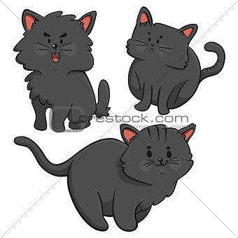 Black Cats Trio