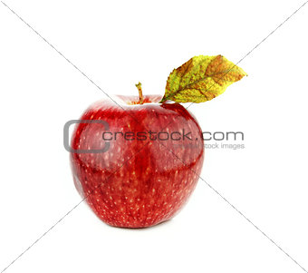 Fresh red apple 