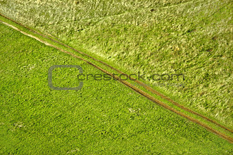 Green meadow diagonal tractor track