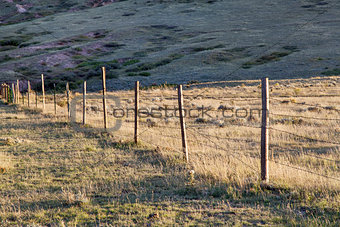 cattle fence on prairie