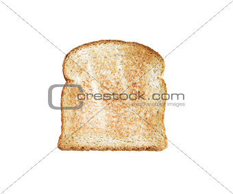 toasted bread