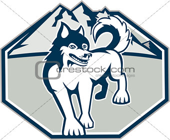 Siberian Husky Dog Mountain Retro