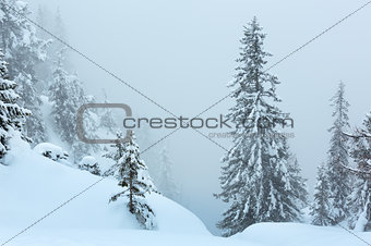 Winter mountain misty landscape